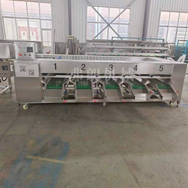 休闲食品加工;果蔬加工设备;箱式干燥设备