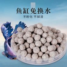 մ^VVļʯӢ˺пփˮ~^V