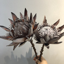 仿真干枯帝王花 植毛欧式普罗霸王花 假花摆件样板房摄影道具软装