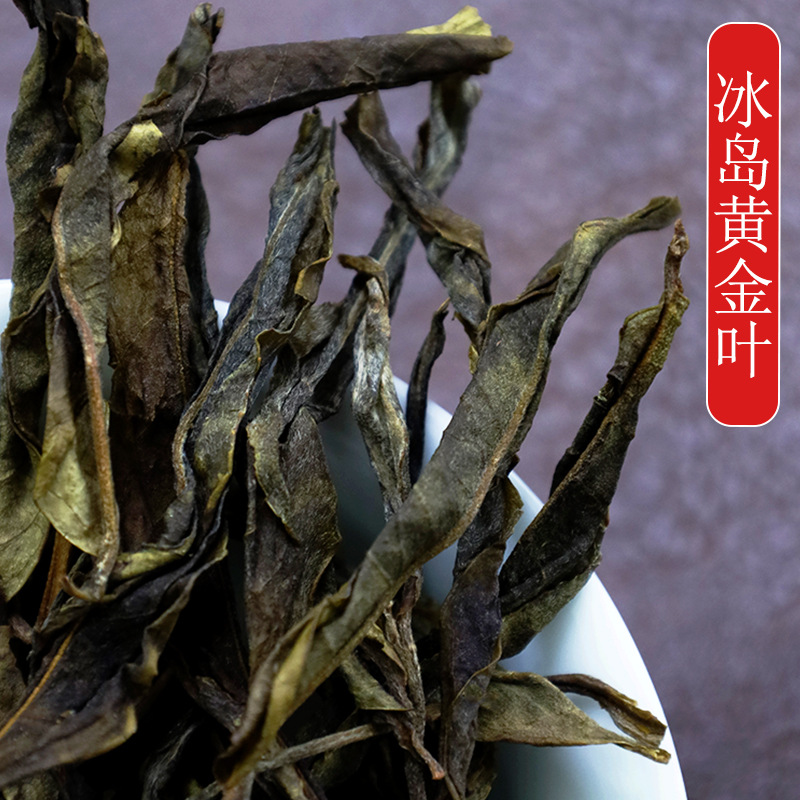 批发冰岛黄金叶2025头春古树茶香甜无苦涩的普洱茶冰岛老黄片散茶