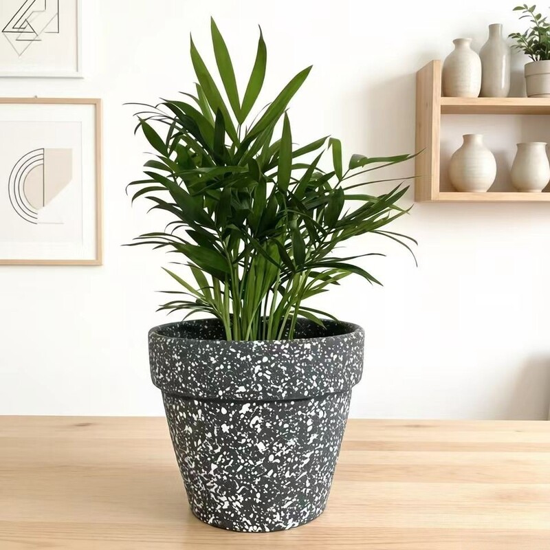Stone color collision succulent flower pot Nordic style colorful round breathable clay ceramic succulent flower pot