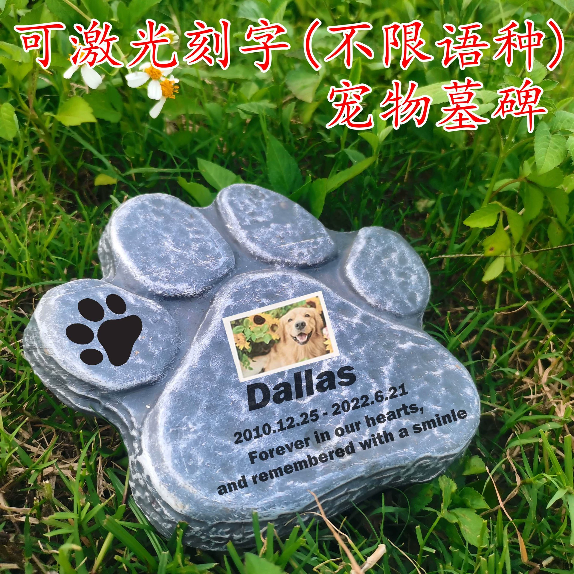 Памятник собачьей фотографии рамка с отпечатками лап маркер сочувствия надгробная плита статуя собаки питомцы мемориал на открытом воздухе газон двор надгробная плита
