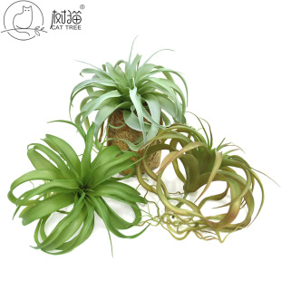 ��̖�՚��ֲ��30cm����՚��P������횙������þ��^�OӋ����Gֲ