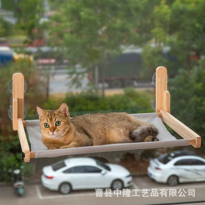 微信图片_20250209142508.jpg