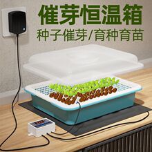 �N�Ӱlѿ��������ܰlѿ�C���B��a��������؜؜ز�Ӵ�ѿ��