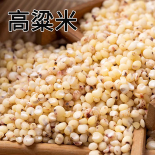 �|�������׮����¸������峣���r���Ԯa����s�Z���֬�������l