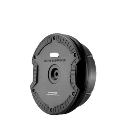 Car speaker/subwoofer – Super Low