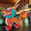 50 cm of China Dragon LS6200