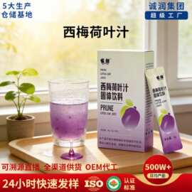 雀蜂西梅荷叶汁酵素西梅荷叶粉西梅荷叶汁固体饮料果蔬粉批发