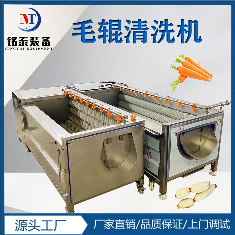 海产品去泥沙清洗设备 红薯自动毛辊清洗机 根茎类去皮清洗设备