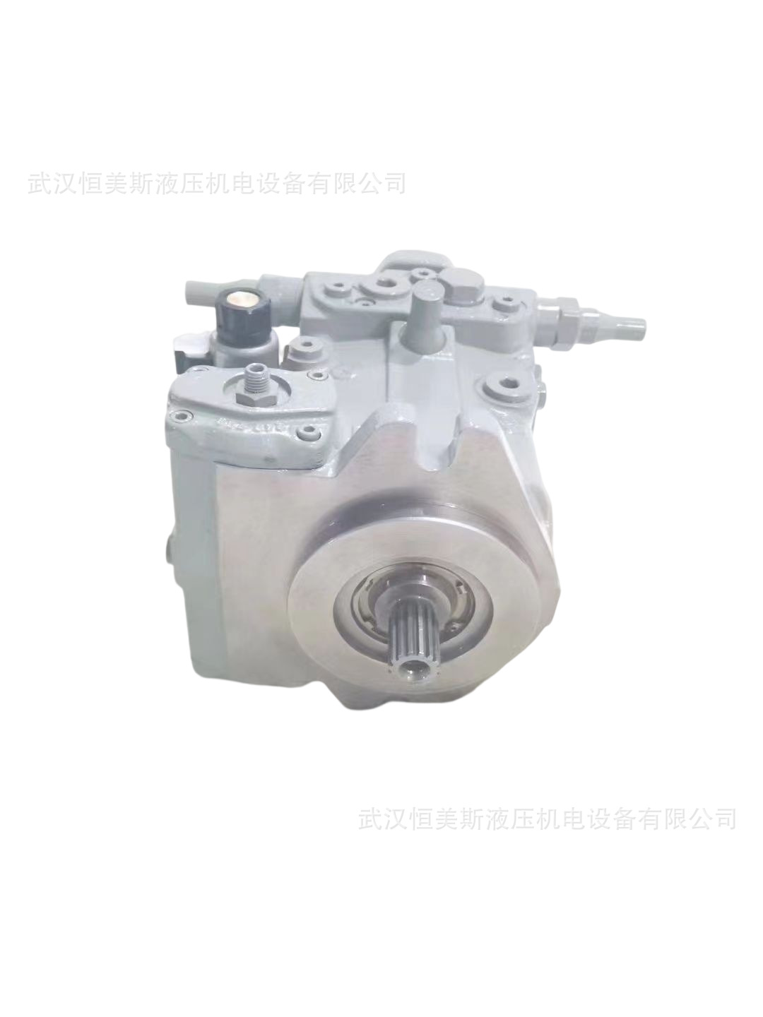 德国REXROTH力士乐柱塞泵A4VSO125DFR/22L-VPB13N00
