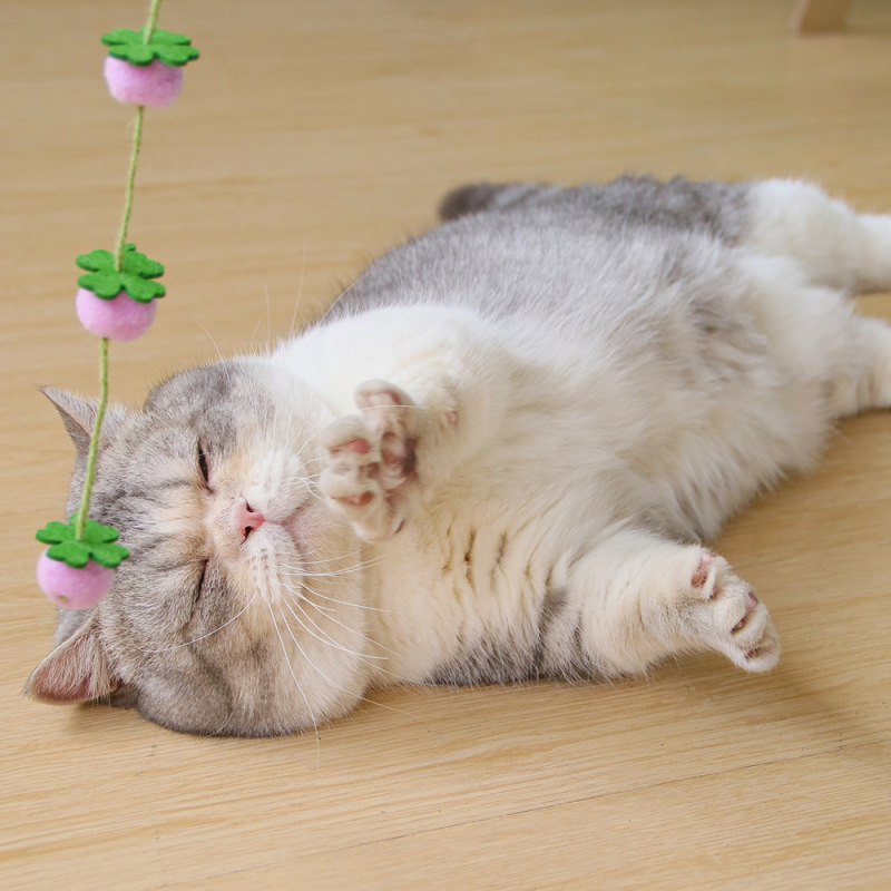 新商品の実果はたくさんあります。猫の棒をからかう猫のおもちゃは国風で猫の棒をからかうペットのおもちゃの卸売りは国境を越えます。|undefined