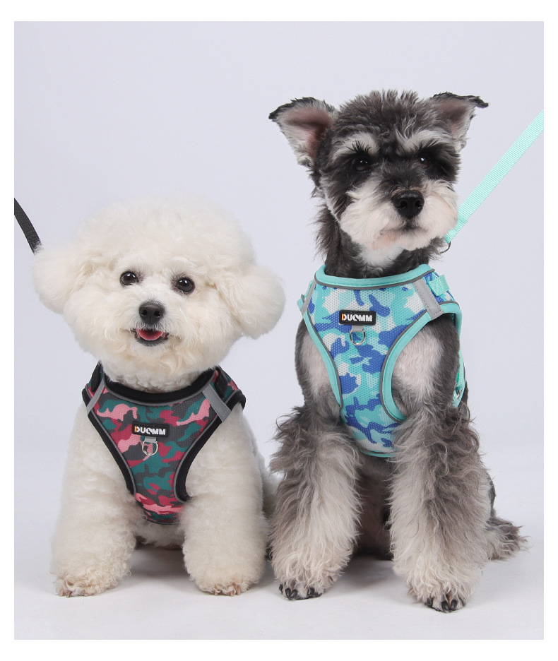 Tarnfarbene, reflektierende, atmungsaktive Hundeleine, Katzenleine, Welpen-Brustgeschirr für Bichon Frisés_voghion.com