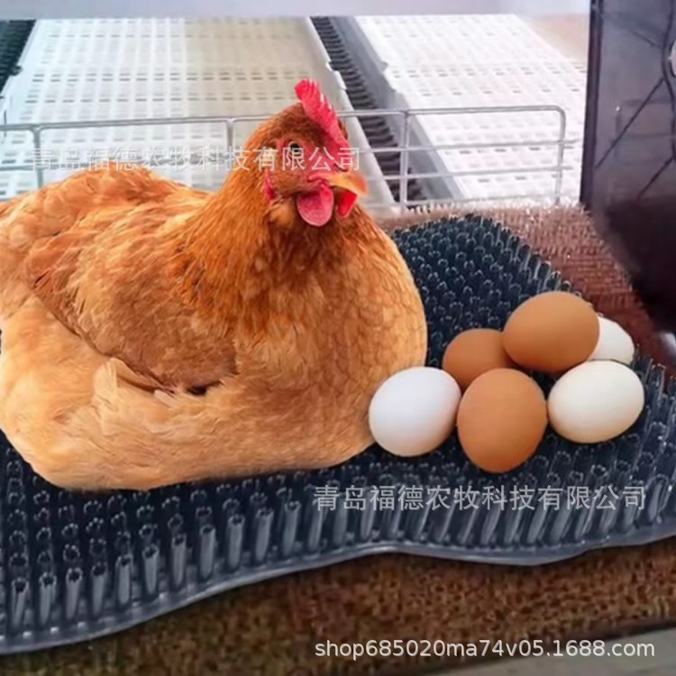 人工集蛋箱草垫  鸡蛋塑料保护垫 家禽生蛋箱塑料草垫图片