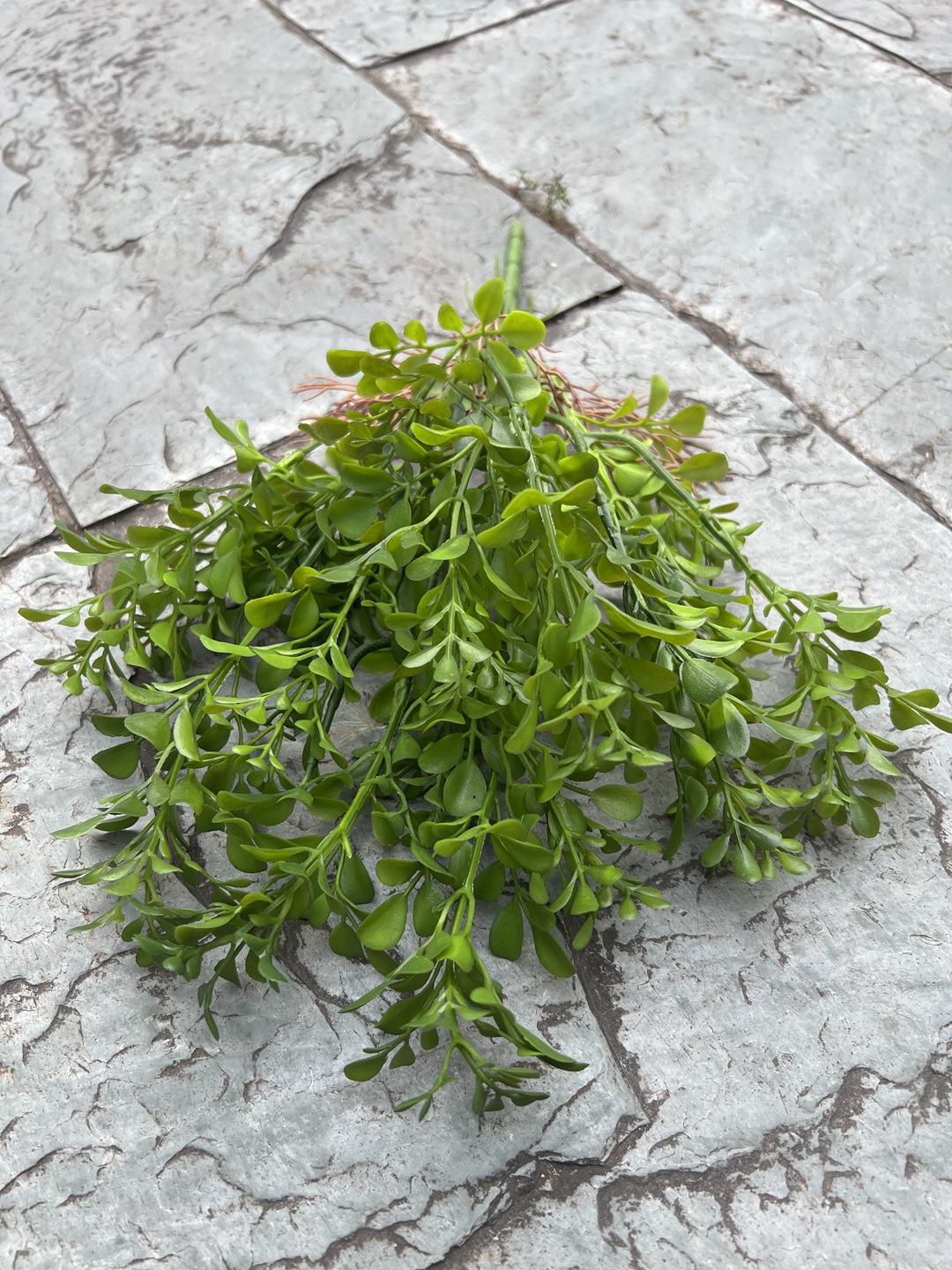 微信图片_20240516194644