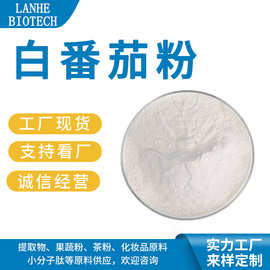 白番茄果粉 白皮番茄粉 白番茄喷干粉 水溶白番茄汁粉 现货供应