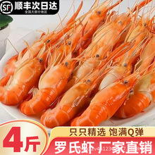 罗氏虾熟冻罗氏沼虾整箱鲜活冷冻冰超特大头虾金钱虾饭店商用