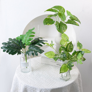 Դ�^�S�� ����ֲ�� ���ϼٻ� ֲ���� �^�z�ָ��~ �����~ �G�}