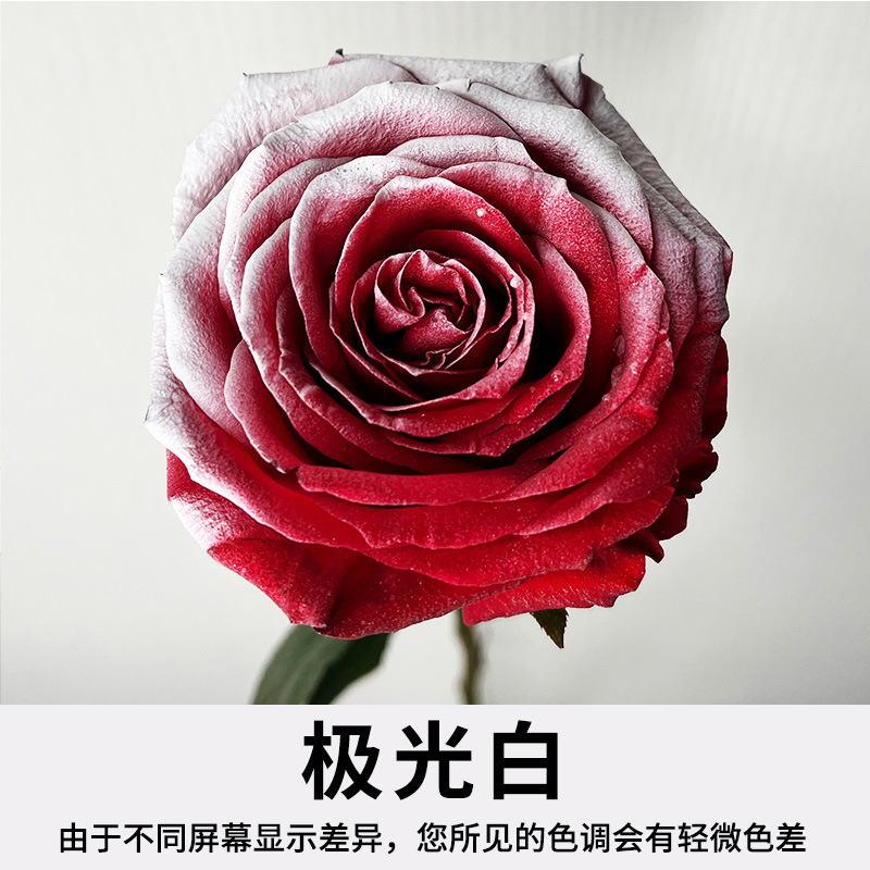 450ml agente de color de aerosol de flores al por mayor pintura en aerosol de secado rápido agente de teñido de rosas de color aerosol de color perlado floristería