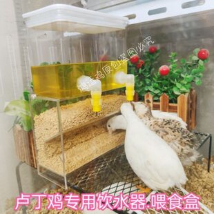 �J���uιˮ��ιʳ��ײ�ˮ���ˮ��ˮ������ʳ��ιʳ���B��ιʳ��