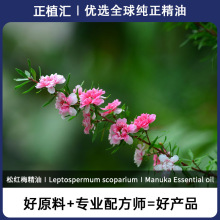 ��ֲ�R�ЙC�ɼt÷�����M�چη���޹���yƷ��ζֲ��ԭ�����R������