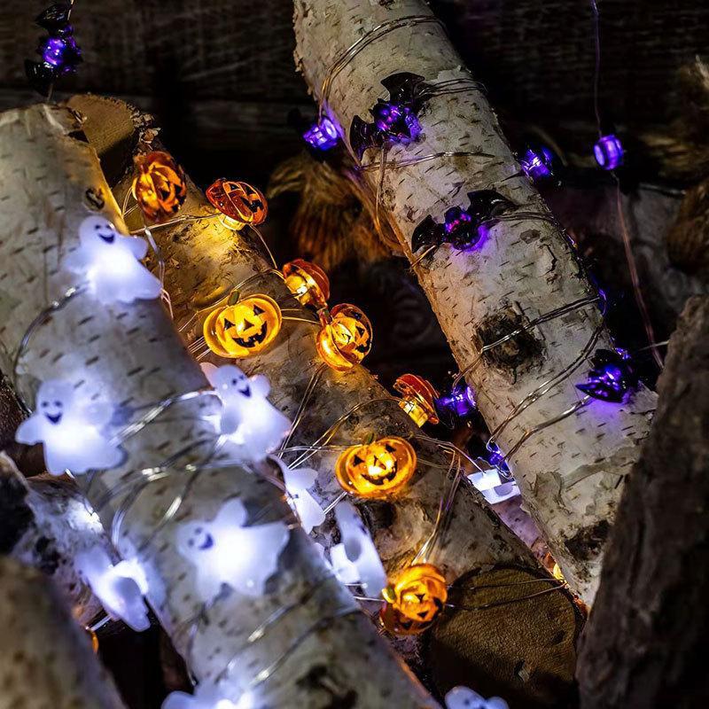 O1CN01ZkUZ5E2JM08gUytrz_!!2211