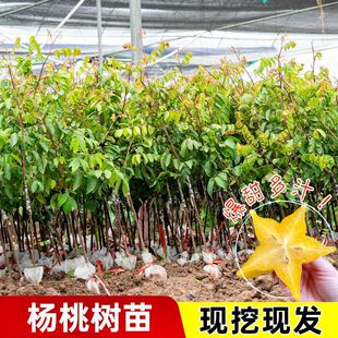 �V������̨������Ҙ���޽��ļ��R����������ˮ���玧�����~