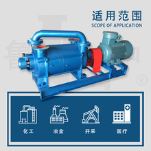 2SK-30两级水环式真空泵卧式真空抽气泵气体输送真空循环泵