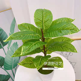 仿真植物 金脉 植物墙配材插花花材 仿真植物盆栽过胶叶子把束