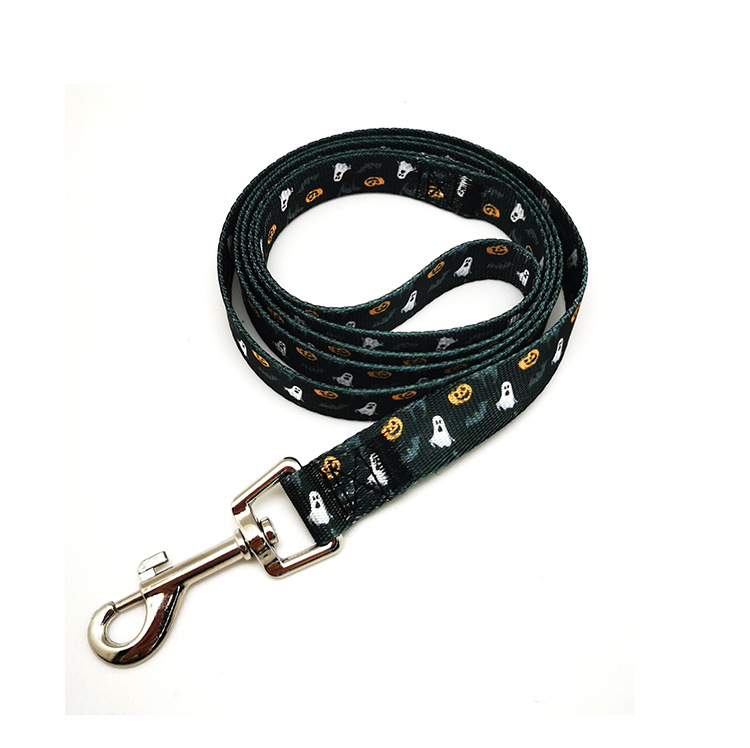 collar leash 2022(2)