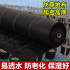wholesale Weed gardening Ground cloth Weed Cloth Film ventilation Moisture Fruit tree Orchard