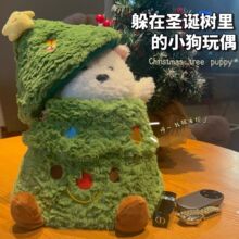 �}�Q���Y��С��׽�Բع����R��ë�q��߲������}�Q����żŮ���Y��