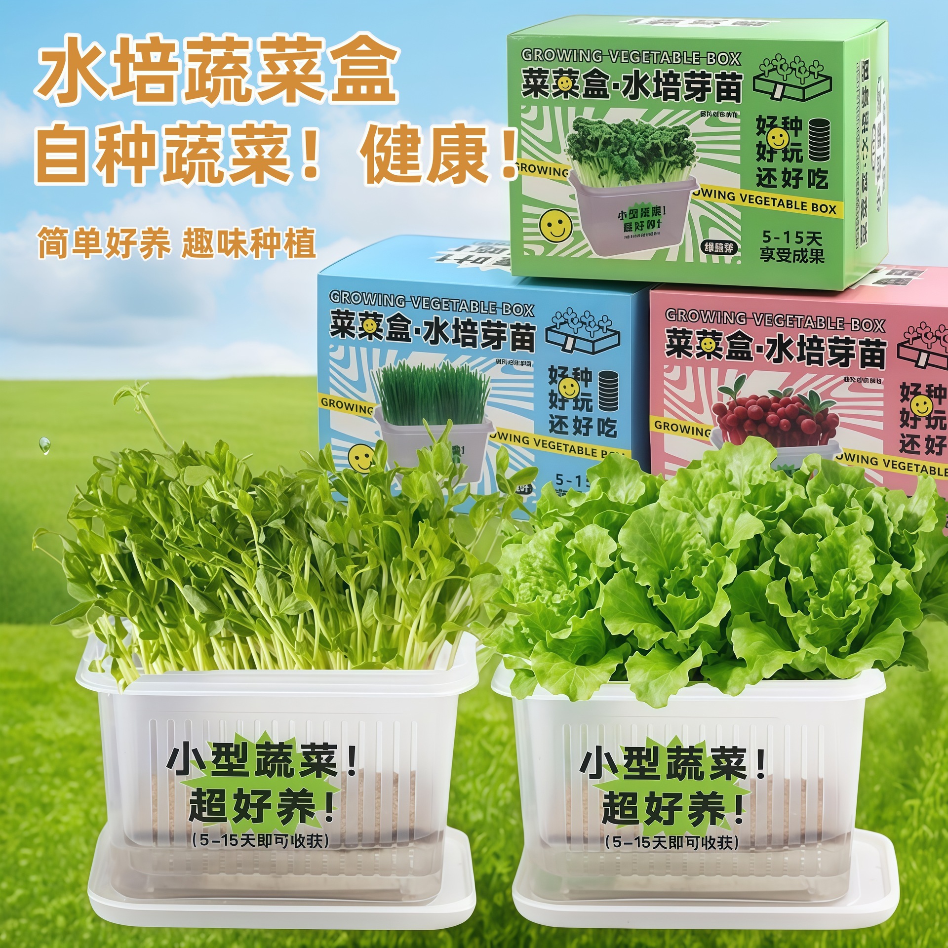 Self-Grown Vegetables, Hydroponic Soilless Green Plants, Healthy Potted Seeds, Vegetable Boxes, Small Gifts for Elementary School Students