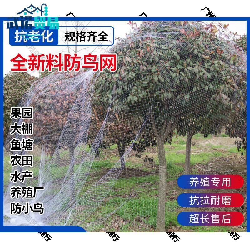 果树防鸟用网天网尼龙网大棚防鸟网果园鱼塘养殖防鸟网拦鸟丝网片