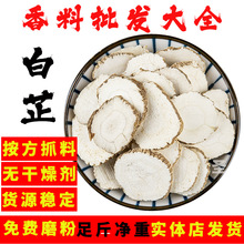 大货白芷中药材无硫香料香包原料粉产地直供调味可食用中草药药用