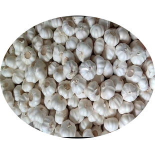 ���r���l�������ԭ�a��ֱ�l���^�s������t��