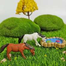 批发迷你小马多肉盆景微景观小摆件水族假山水陆缸造景装饰品骏马
