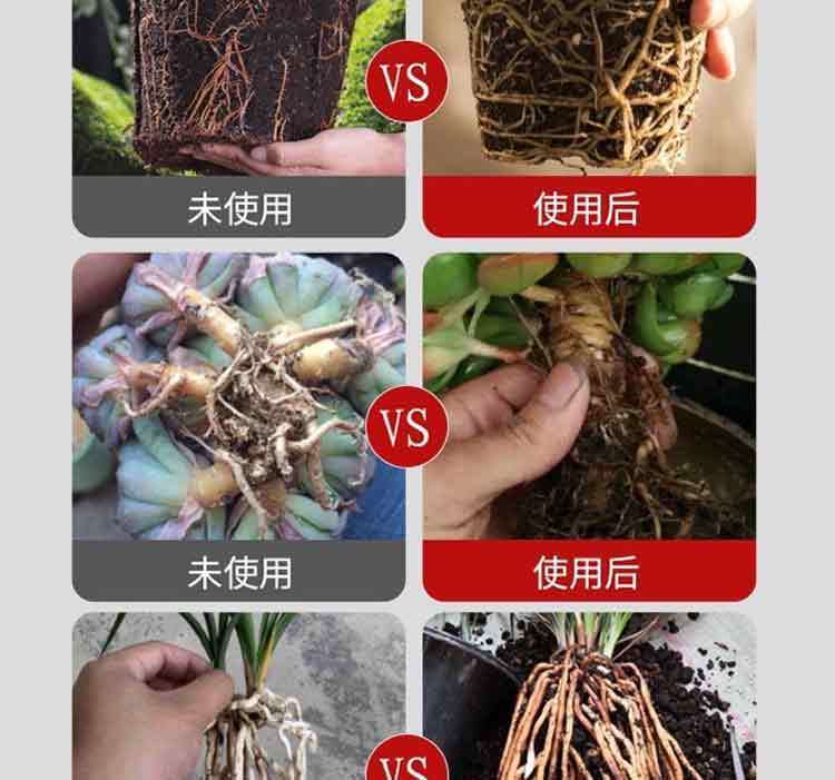 c91fb68d-d950-4011-821e-02a6d9cc3b3f.jpe