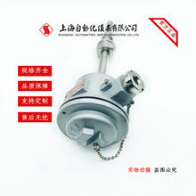 上海自动化仪表三厂WRN2-240A防爆热电偶