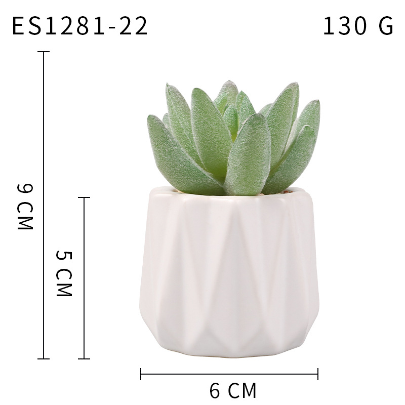 Pequeña ola al por mayor taza tipo simulación planta suculenta nórdico Muebles de Oficina Decoración fresca nuevo producto