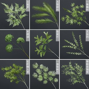 �Gֲ��c�Gɫ���滨���Ļ�Y��픵��Ų廨��ˇɭϵ�~�Ӽٻ��߷���