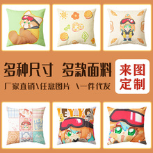 ZS跨境外贸创意DIY制作抱枕卡通动漫方形抱枕 广告纪念日靠垫套批