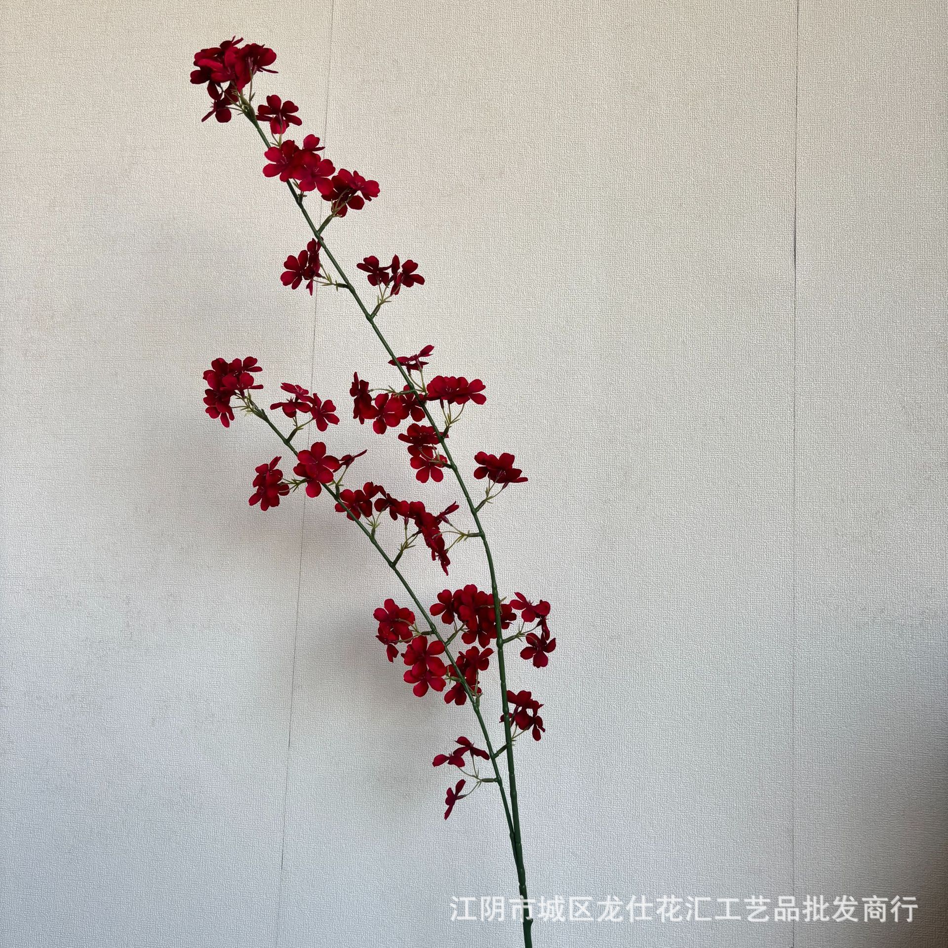 배꽃 녹색 기둥