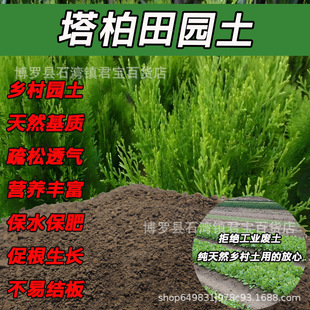 ���ؼ�����@�������S���N�仨����ͨ��ɳ���N�����ЙC���Nֲ��