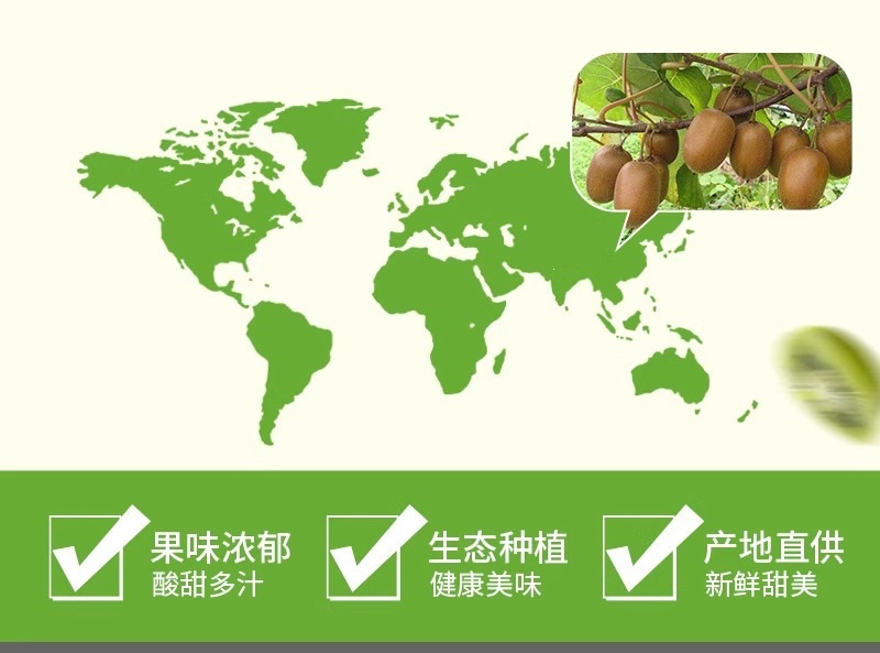Dried Kiwi Fruit Slices Mihoutao Gan No Added Sugar Fruit Chips Snack 250g specifications