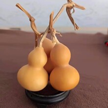 С�����JС�������J���l��ȻС���J����Ʒ���l���﹤ˇ���J