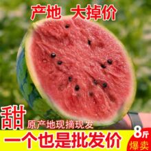 ������������ˮ��Ӧ����Ƥ8424����������ժ�������ѳ����������