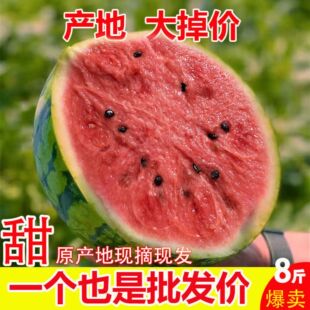 �����������rˮ��������Ƥ8424�������ϬFժ�o�����ѳ����������