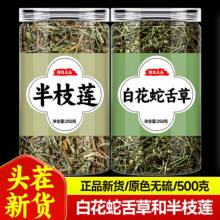 ��֦ɏ�Ͱ׻��������ș���Ƭ��Ʒ��Ş���в�șҰ����֦ɏ�Ĺ�Ч