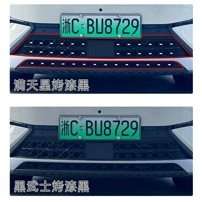 26 types of BYD Song: Automobile anti-insect net